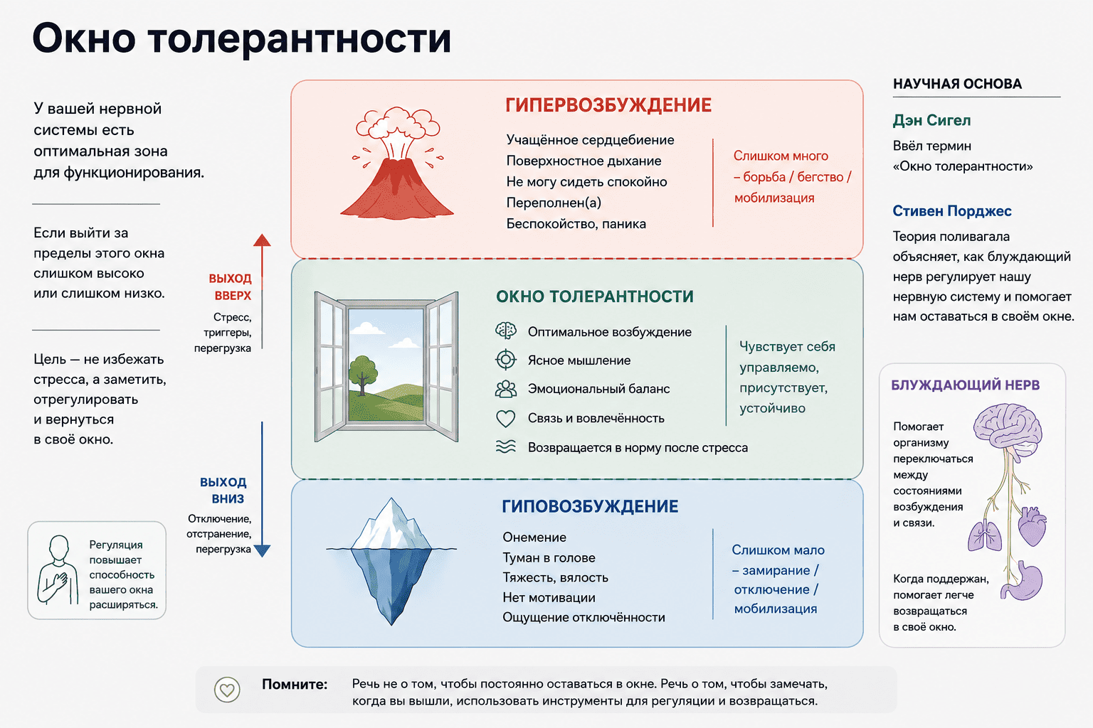 Повышенная тревожность: как успокоить нервы и снять тревогу без таблеток| Телора поможет телу