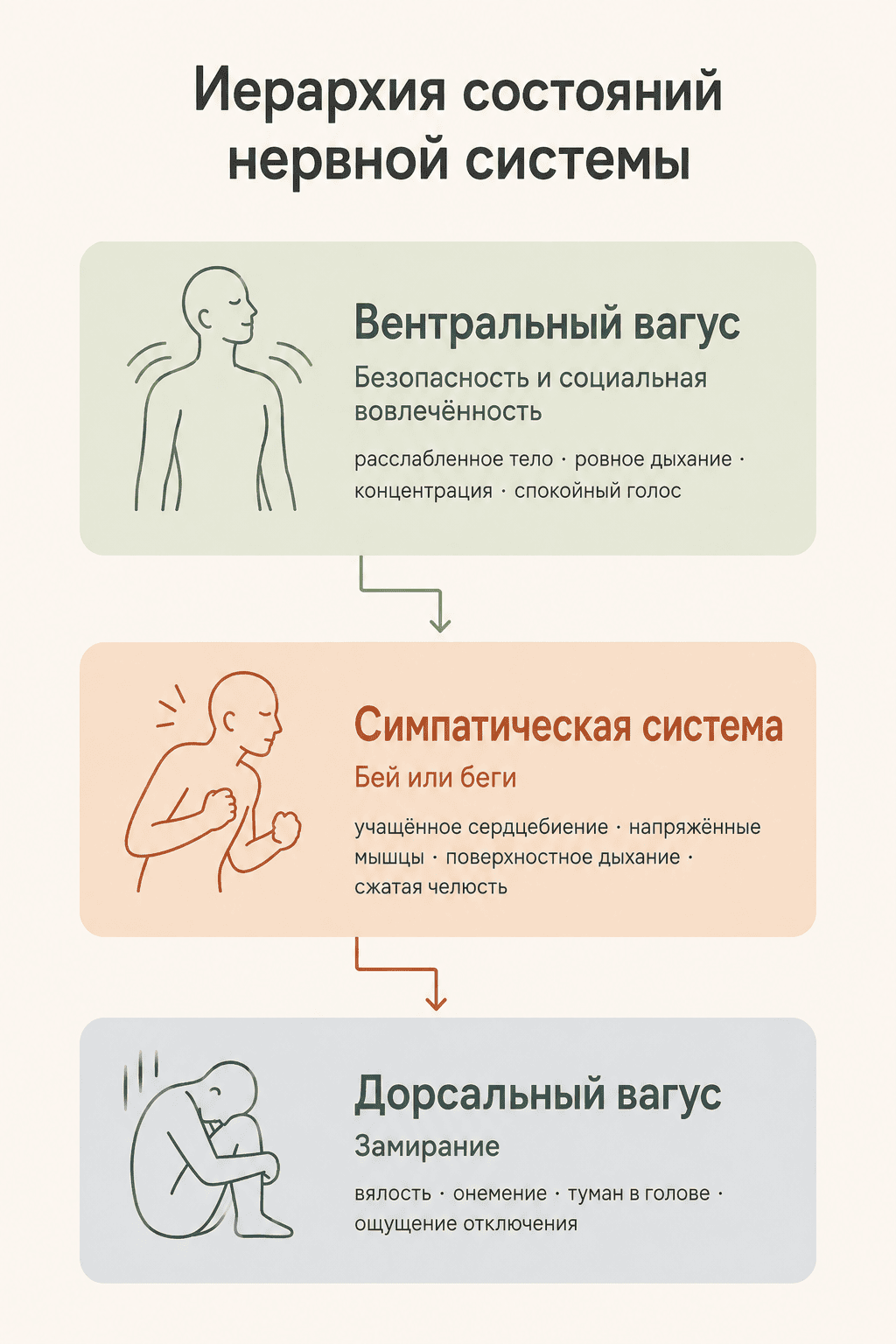 Психосоматика: симптомы, причины и что делать при стрессе