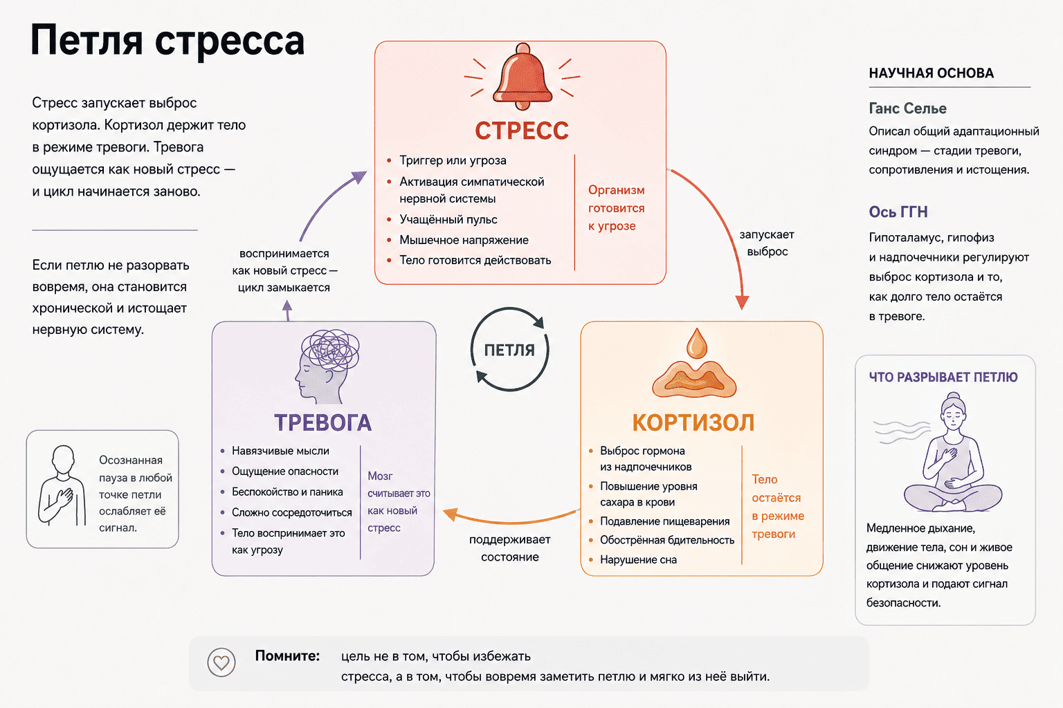 Повышенная тревожность: как успокоить нервы и снять тревогу без таблеток| Телора поможет телу